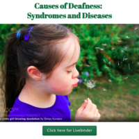 Causes of Deafness:  Syndromes and Diseases