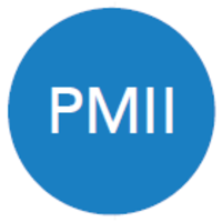 Peer Mediated Instruction Intervention (PMII)