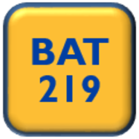 BAT 219 Internship I Template