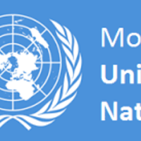 Chapter 6: Researching for Model United Nations' Position Papers