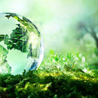 Grade 9 - Sustainable Ecosystems