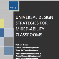 Mixed Abilities: UDL for Success