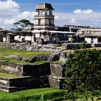 Mayan Civilization Project