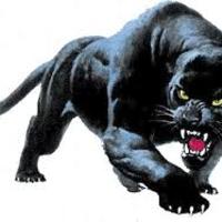 Panther Wrestling