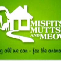 VOLM Lily Donahoe Misfits, Mutts, and Meows