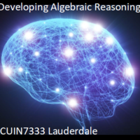 Developing Algebraic Reasoning
