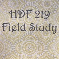 HDF 219 Fieldwork