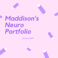 Maddison's Neuro E-Portfolio