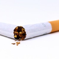 La Influencia del consumo de tabaco en el ambiente, la salud y l