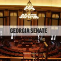Georgia State Senate 2020