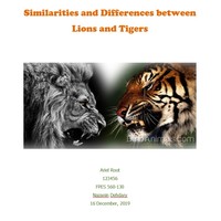 FPES0560 Sample Project Folder - Lions and Tigers
