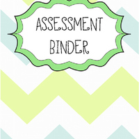 Comprehensive Assessment Team 1 Binder