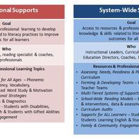 SST 1 Literacy Supports