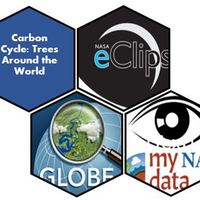 Just in Time Workshop: Carbon Cycles: Trees Around the World