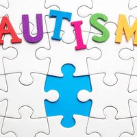 Including and Educating Students with Autism Spectrum Disorder