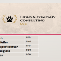 Lions & Company Consulting