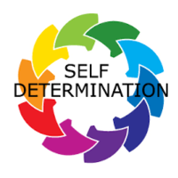 Self Determination Apps and Programs