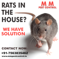 MM Pest Control Service Company