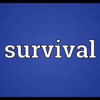NZ Survival Stories