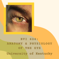 BVI 582: Anatomy & Physiology of the Eye