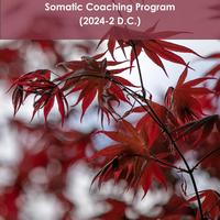 2024-2 DC ~ Somatic Coach Certification Program